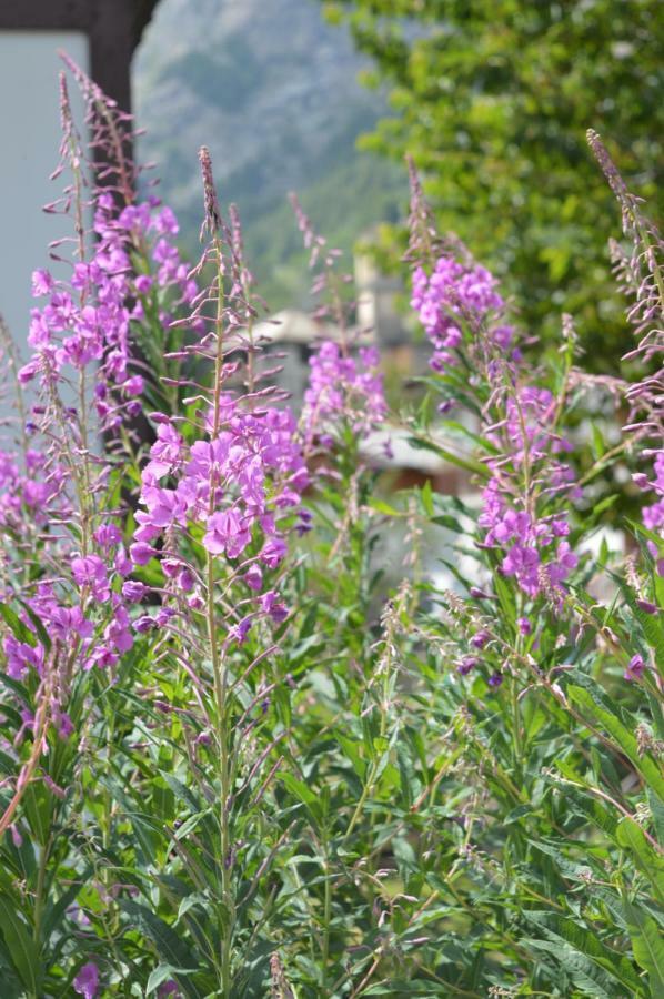 Appartamento Curnet Balme Buitenkant foto